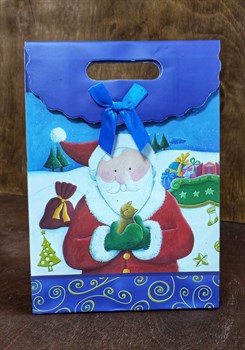 Пакет картонный с вырубной ручкой на липучке "Санта Клаус с котиком" - фото 9609