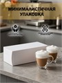 Стеклянная кружка с двойными стенками 250мл. (2шт.) 2780